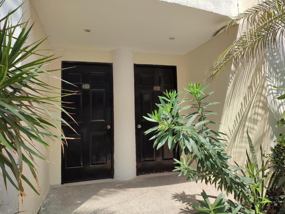 Hotel Ashly อากาปุลโก ภายนอก รูปภาพ